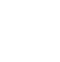 大型の花びら