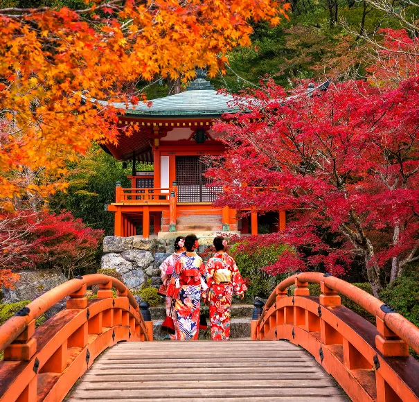 紅葉の景色と3人の和服姿の女性